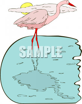 Flamingo Clipart