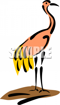 Flamingo Clipart