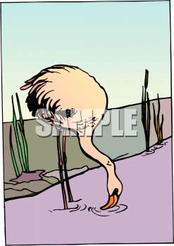 Flamingo Clipart