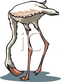 Flamingo Clipart