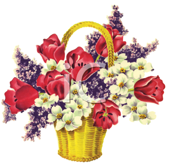 Tulip Clipart