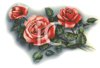 Royalty Free Rose Clipart