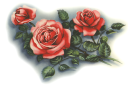 Rose Clipart