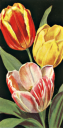 Tulip Clipart