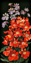 Geranium Clipart