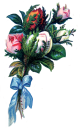 Rose Clipart