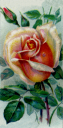 Rose Clipart