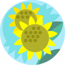 Sunflower Clipart