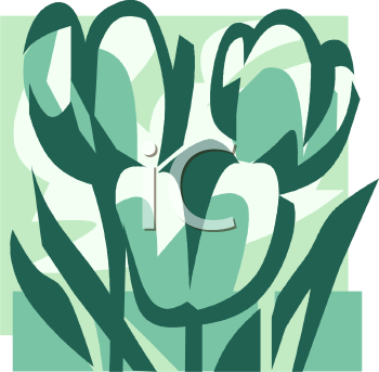 Tulip Clipart