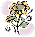 Sunflower Clipart