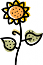 Sunflower Clipart