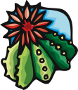 Cactus Clipart