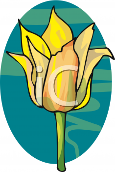 Tulip Clipart