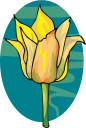 Tulip Clipart