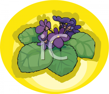 Violet Clipart