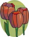 Tulip Clipart