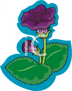 Violet Clipart