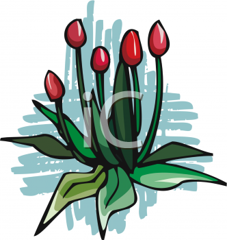 Tulip Clipart