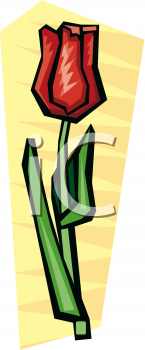 Tulip Clipart