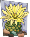 Cactus Clipart