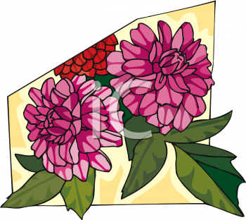 Peony Clipart