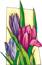 Crocus Clipart