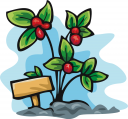 Garden Clipart