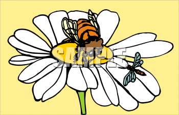 Bug Clipart