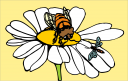 Bug Clipart