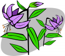 Garden Clipart