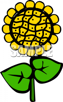 Sunflower Clipart