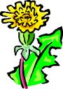 Sunflower Clipart