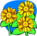 Garden Clipart