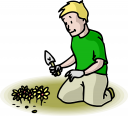 Garden Clipart