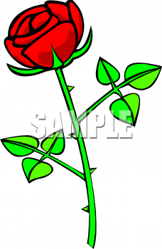 Rose Clipart