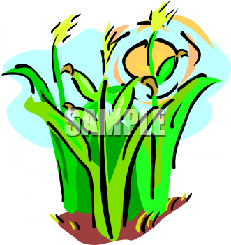 Field Clipart