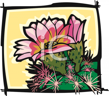 Cactus Clipart