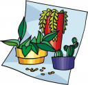 Pots Clipart