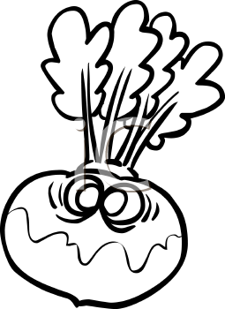 Turnip Clipart