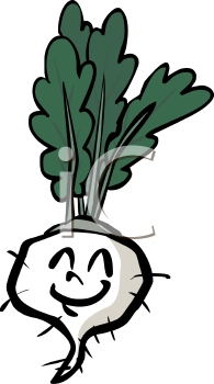 Turnip Clipart