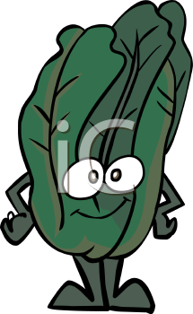 Lettuce Clipart