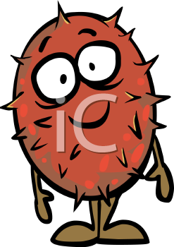 Pear Clipart
