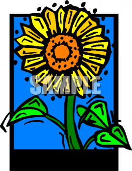 Sunflower Clipart