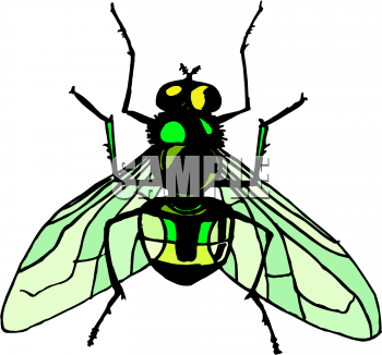 Bug Clipart