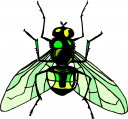 Bug Clipart