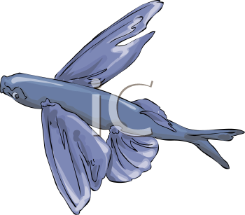 Fish Clipart