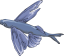 Fish Clipart