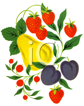 Plum Clipart