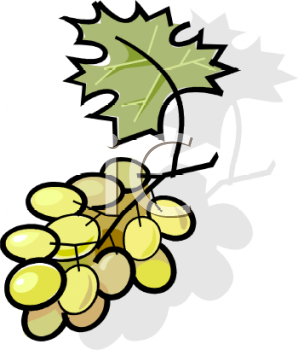 Grape Clipart