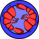 Lobster Clipart